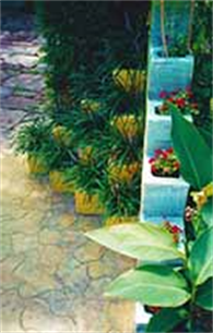 Art Ideas For Your Garden in Austin Texas